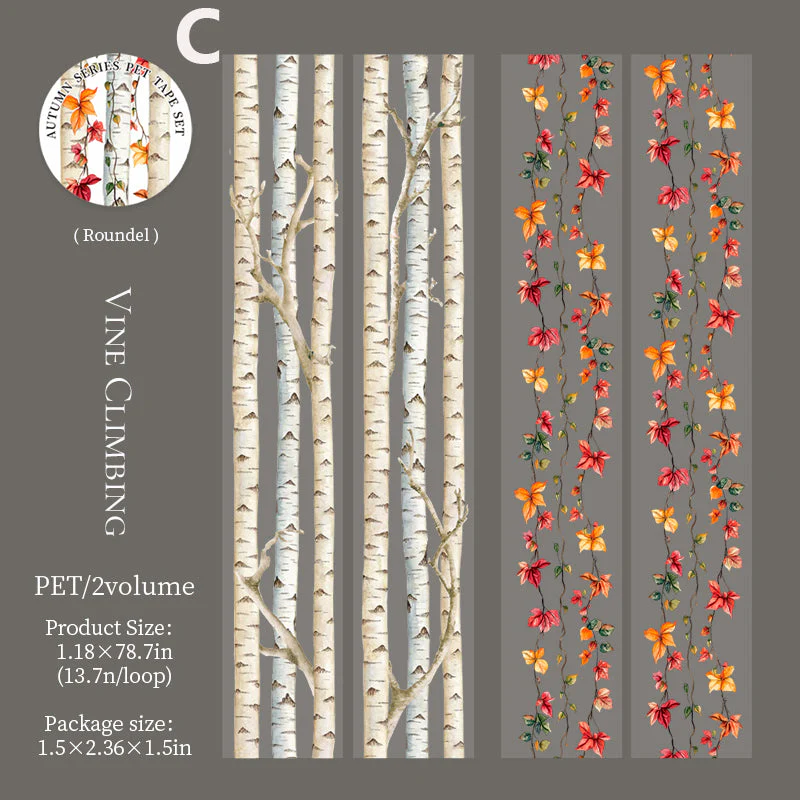 Autumn Color Tape - Image 13