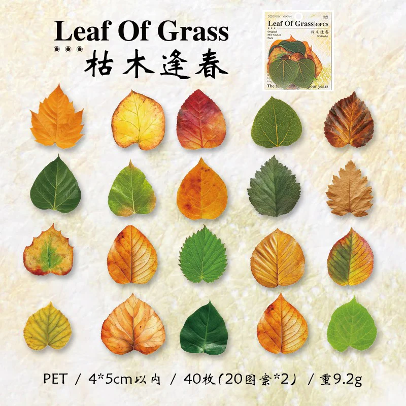 Autumn Folds Series – PET Leaf Sticker Pack - Image 13