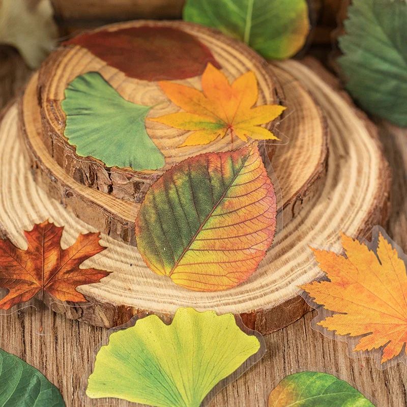 Autumn Folds Series – PET Leaf Sticker Pack - Image 3