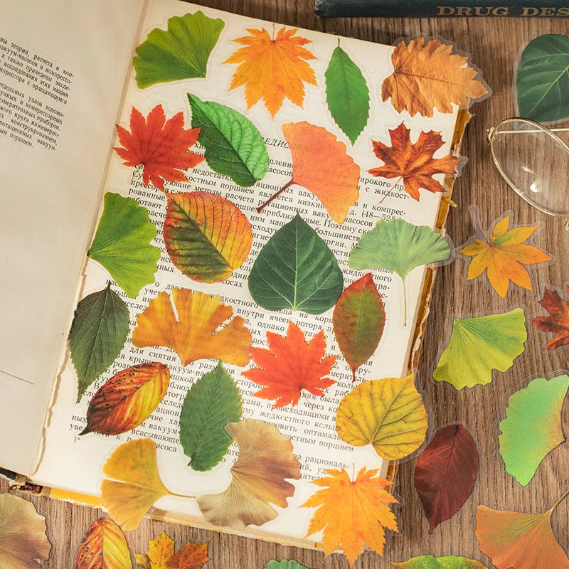 Autumn Folds Series – PET Leaf Sticker Pack - Image 4