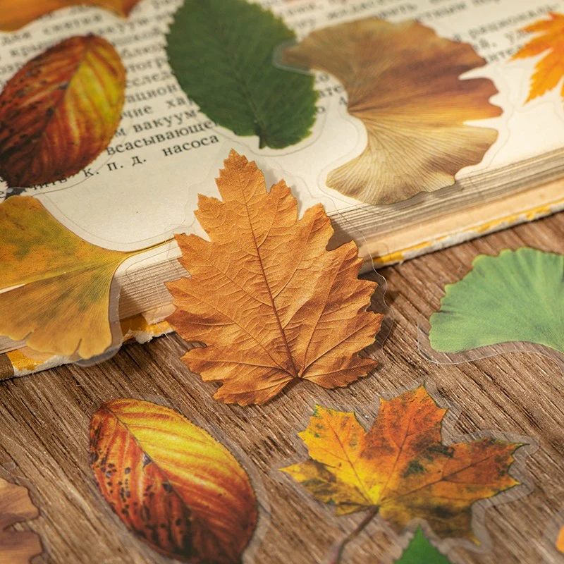 Autumn Folds Series – PET Leaf Sticker Pack - Image 5