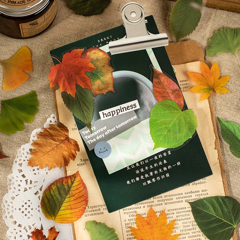 Autumn Folds Series – PET Leaf Sticker Pack - Image 7