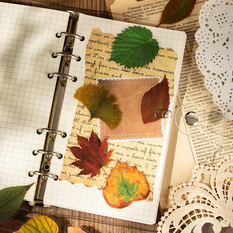 Autumn Folds Series – PET Leaf Sticker Pack - Image 9