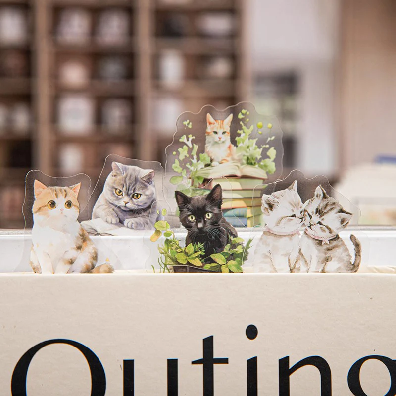 Bookstore Cats Series Double White Ink PET Sticker Pack - Image 7