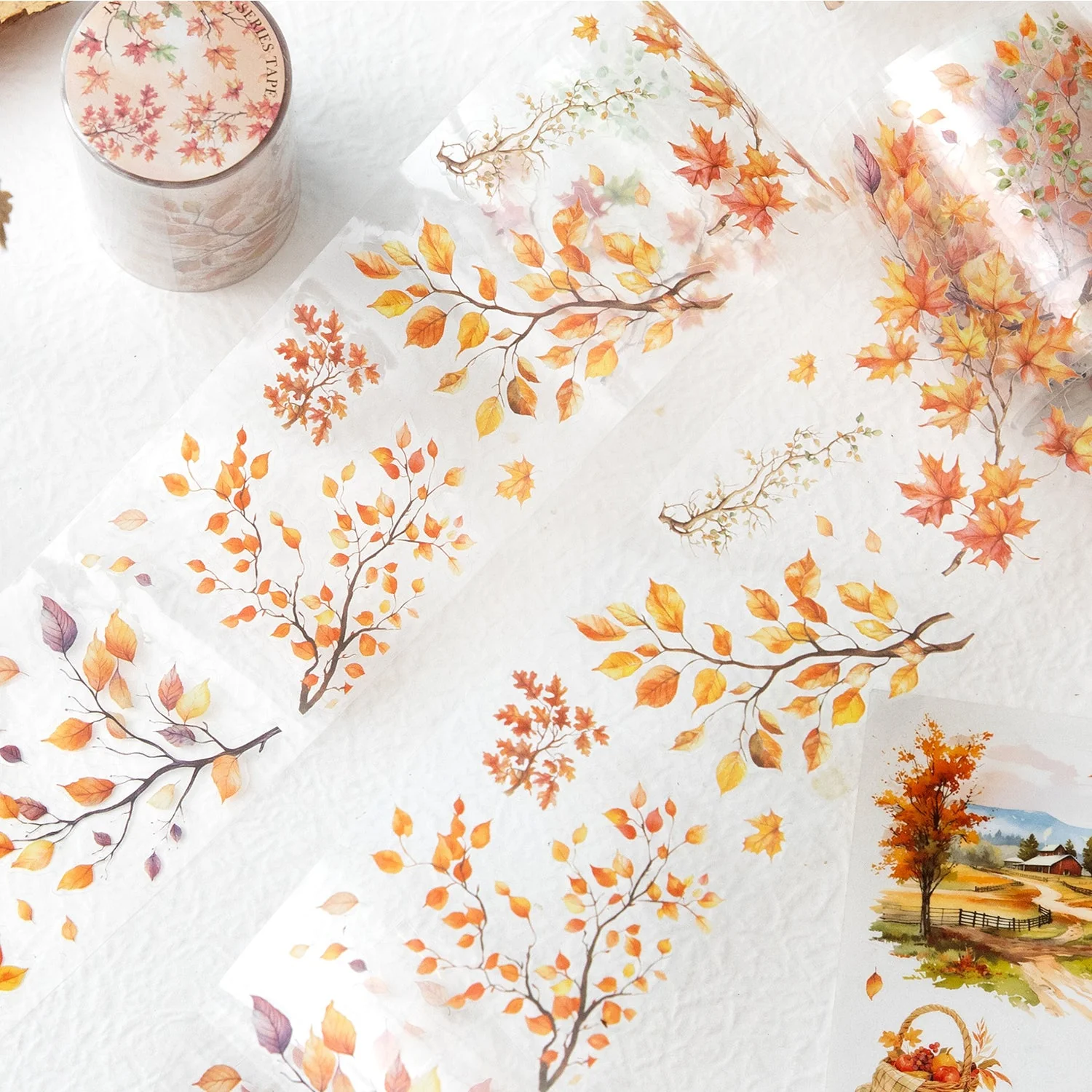 In Autumn Tape - Image 4