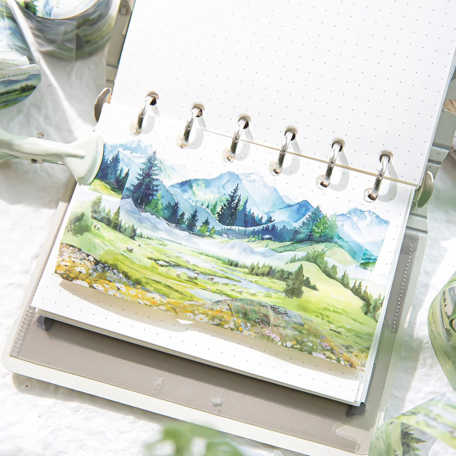 Into Nature Sticker Book - Image 34