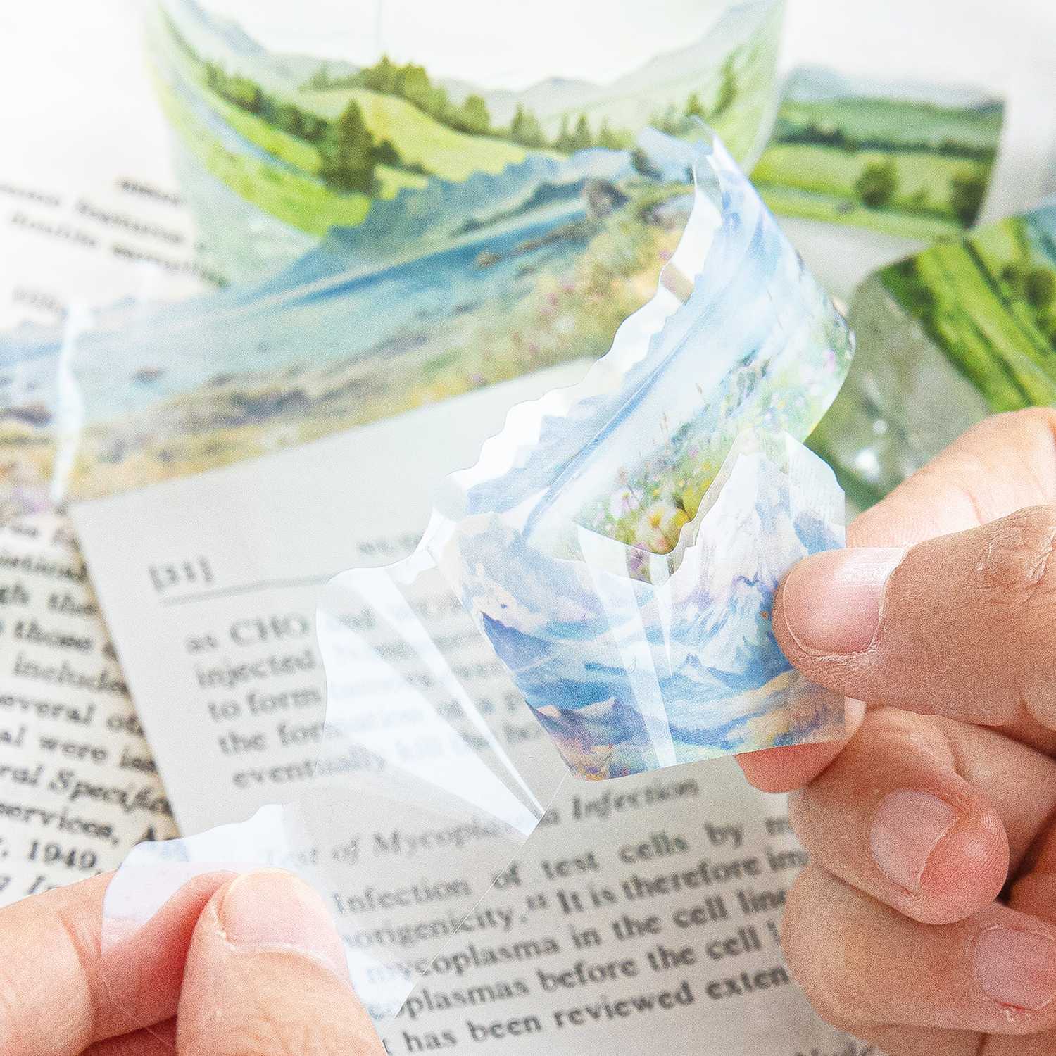 Into Nature Sticker Book - Image 35