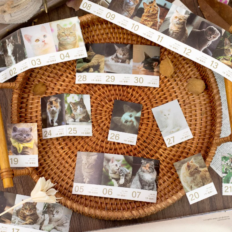 One page a day calendar 53pcs - Image 4