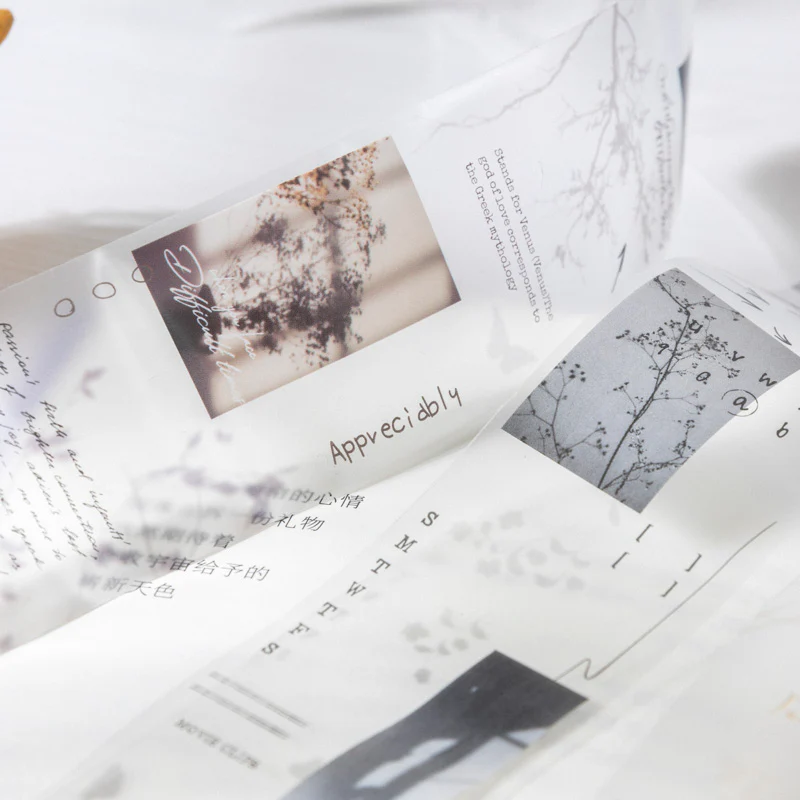Poetry In Light PET Tape-TAHARA - Image 4