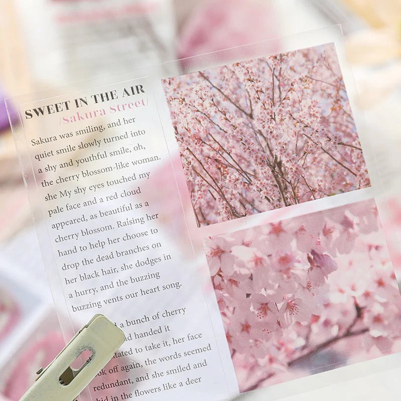 Semi-Sweet Snow Puff Series Dual-Material Sticker Book - Image 5