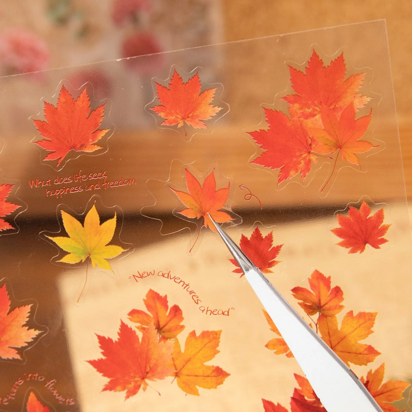 Specimen Flower Sticker Book 30Pcs - Image 7