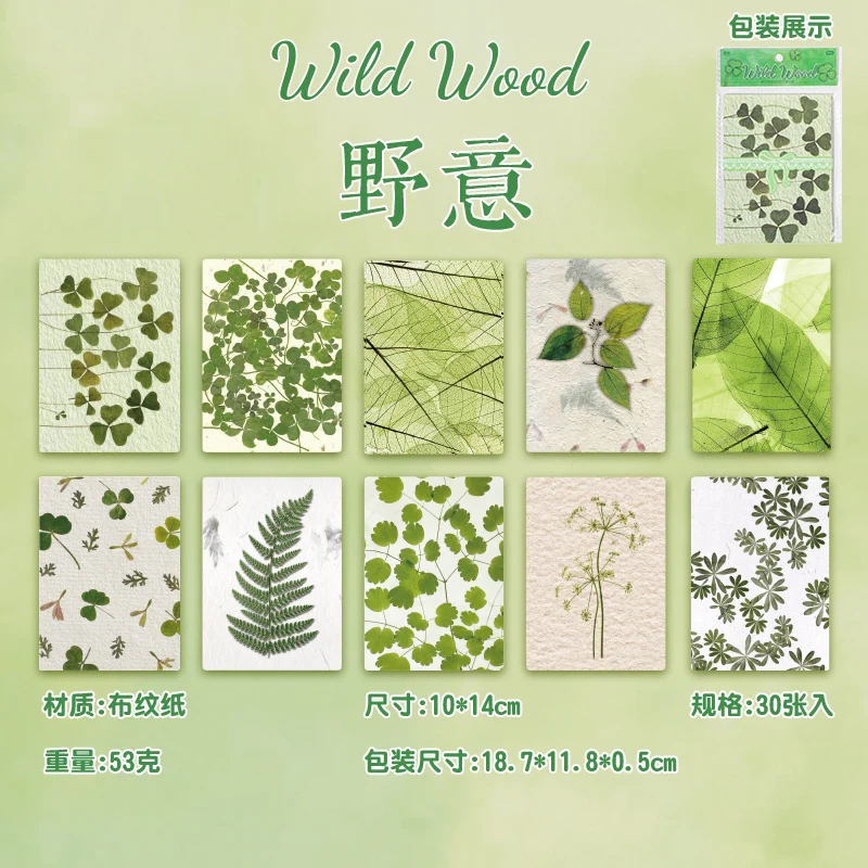 Spring Story Embossed Floral Paper Pack - Image 20