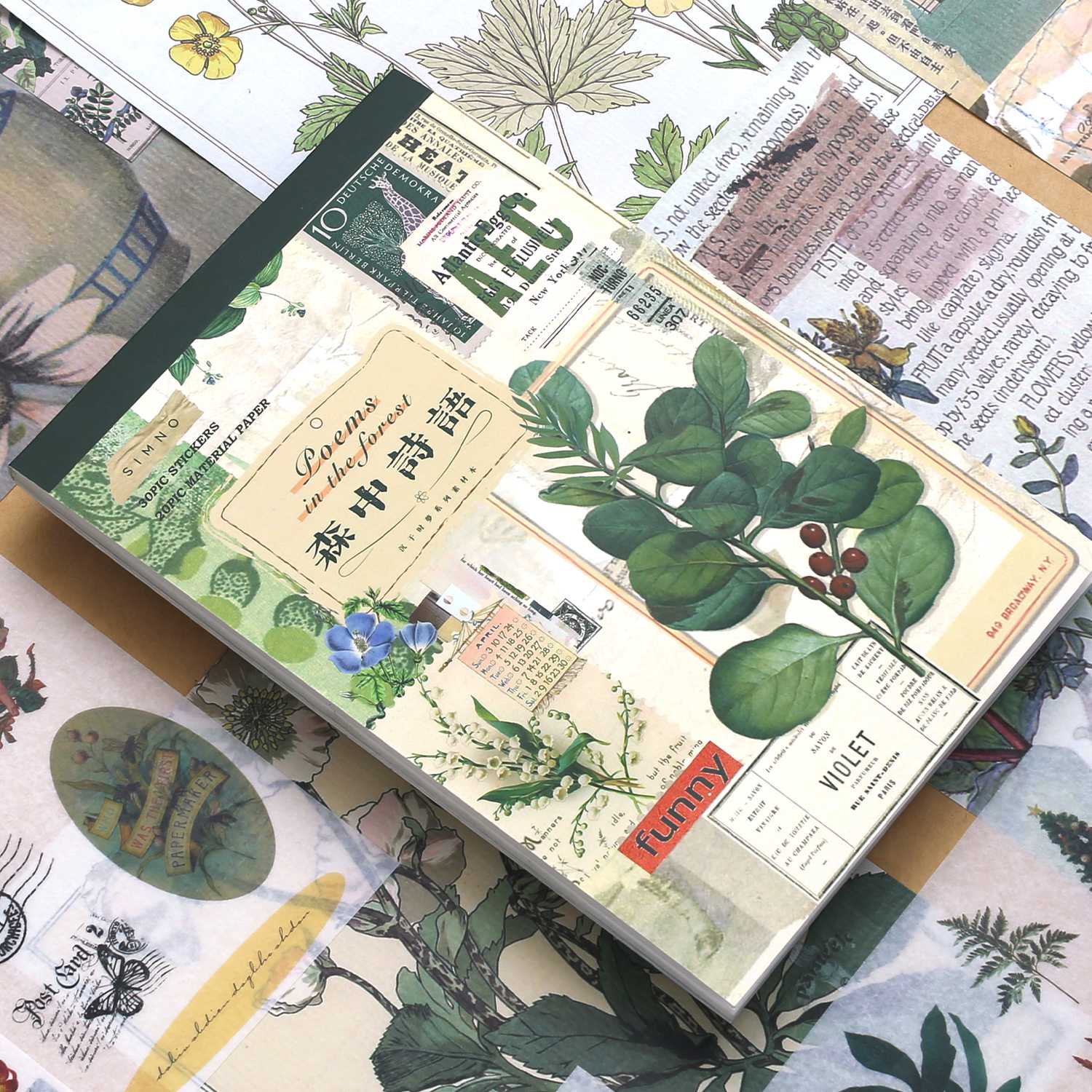 Time And You Series Material Book-TAHARA - Image 6